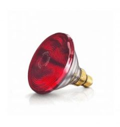 Bóng đèn hồng ngoại Philips 150W