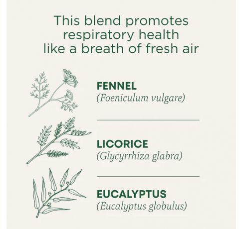 Traditional Medicinals, Organic Breathe Easy Eucalyptus mint , 16 Wrapped Tea Bags
