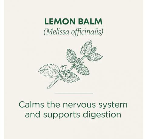 Traditional Medicinals, Organic Lemin Balm Light & Citrusy Relieves Stress, 16 Wrapped Tea Bags